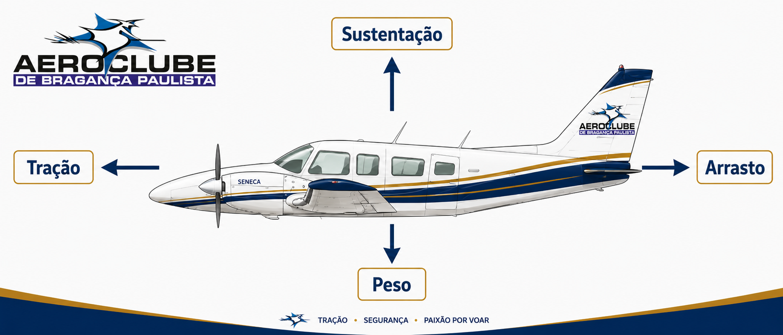 Diagrama das forças que atuam no avião: sustentação, peso, tração e arrasto.